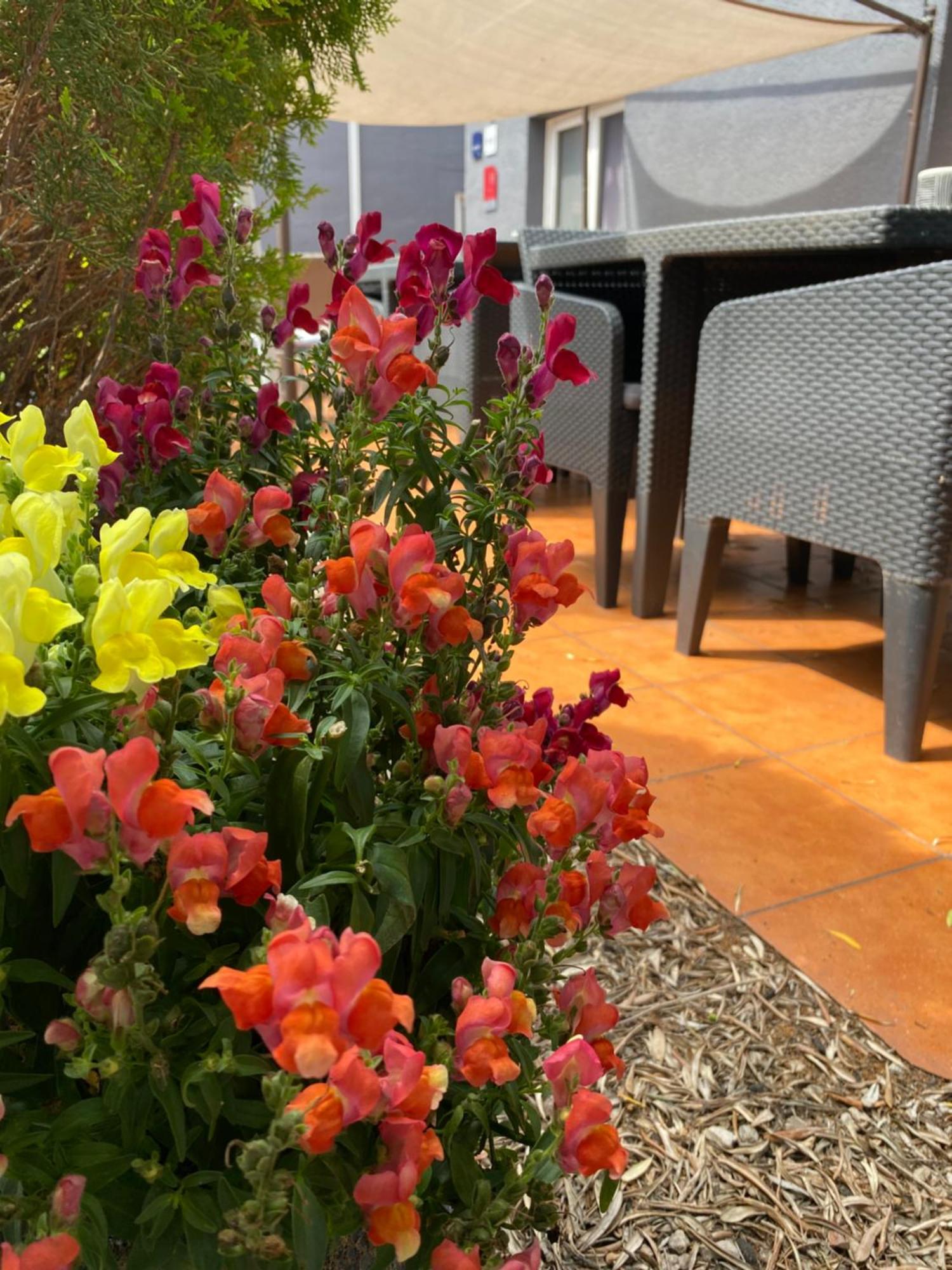 Contact Hotel Le Sud Montpellier Aeroport Parc Expo Arena موجيو المظهر الخارجي الصورة